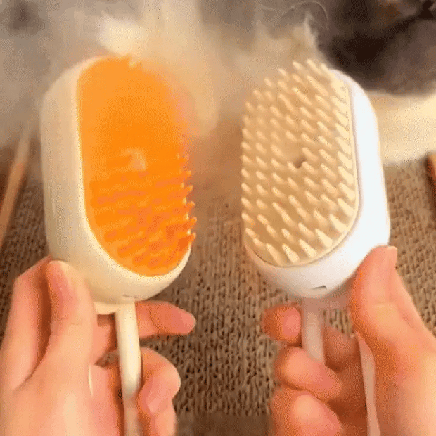 Encabezado