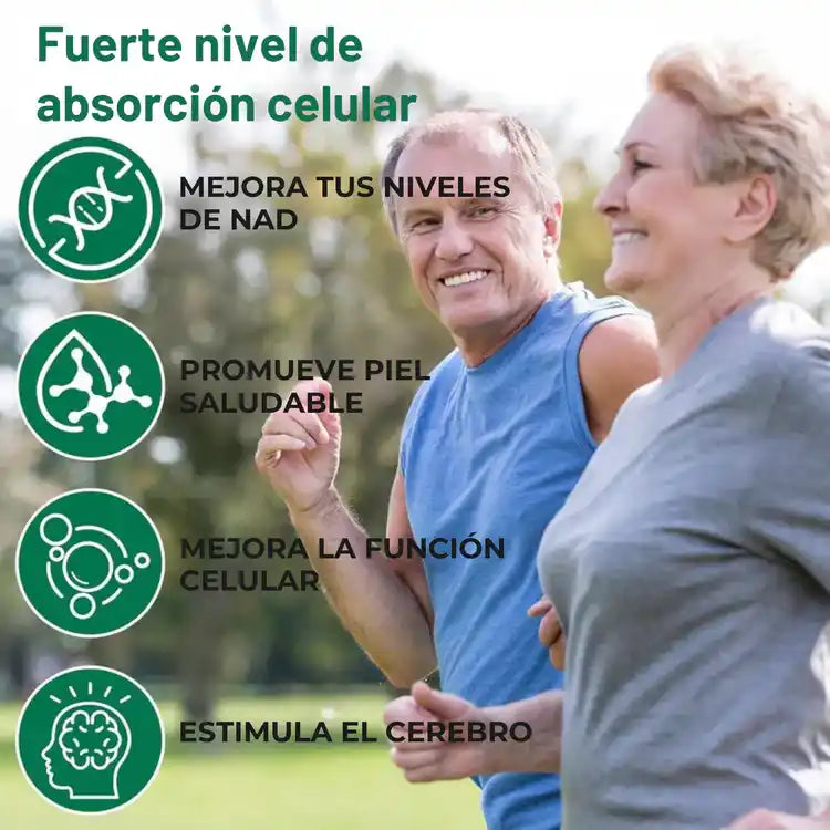 Encabezado